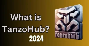 What is Tanzohub? 2024