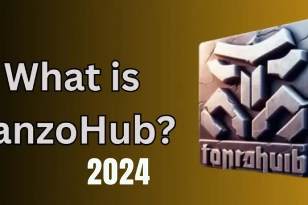 What is Tanzohub? 2024